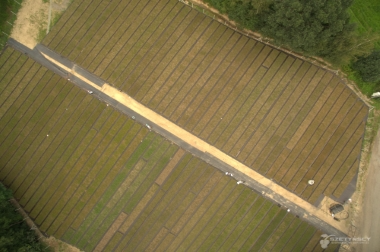 nursery material production and distribution Poland 20